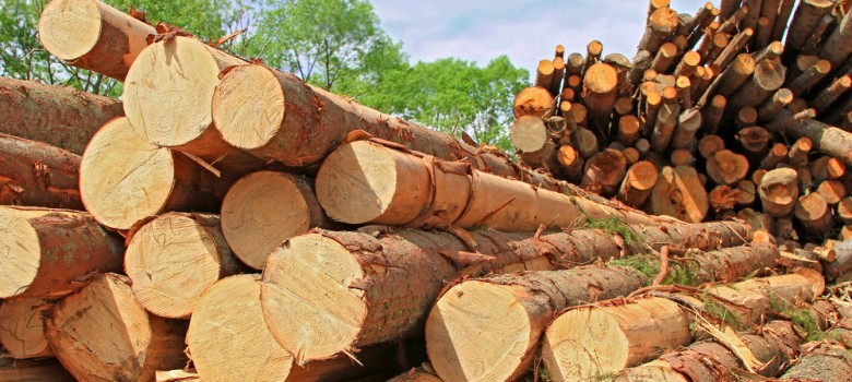 Image: Timber Logs
