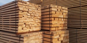 Timber Panels