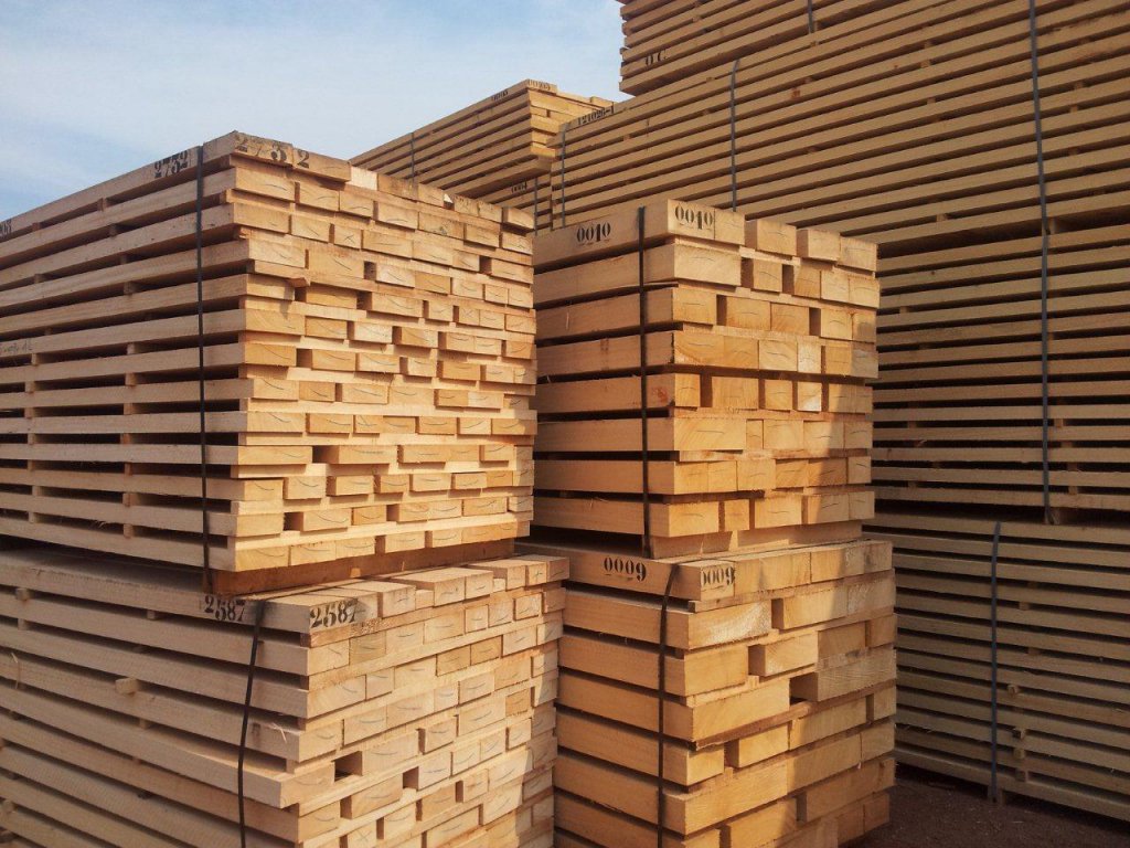 The Timber The Timber