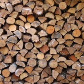 Timber Logs