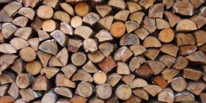 Timber Logs