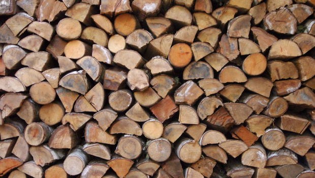 Timber Logs